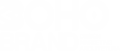Logo padrao branca 4